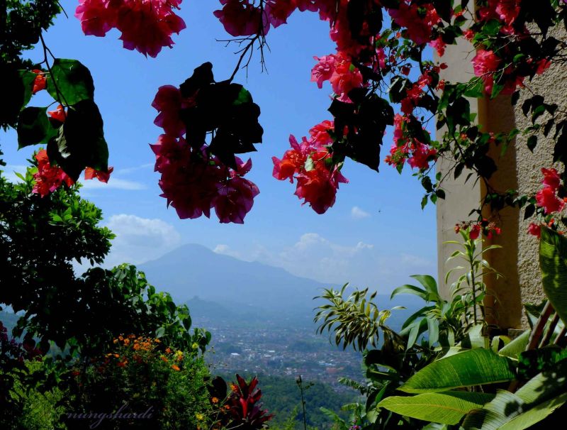 one sunny day in sumedang.jpg